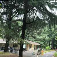 碧山巖：優質綠道，感受大自然魅力