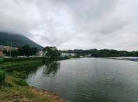 大埔汀角路沿途好風光