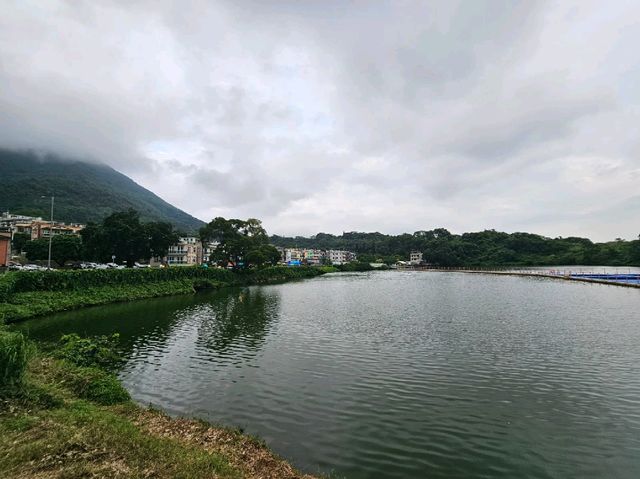 大埔汀角路沿途好風光