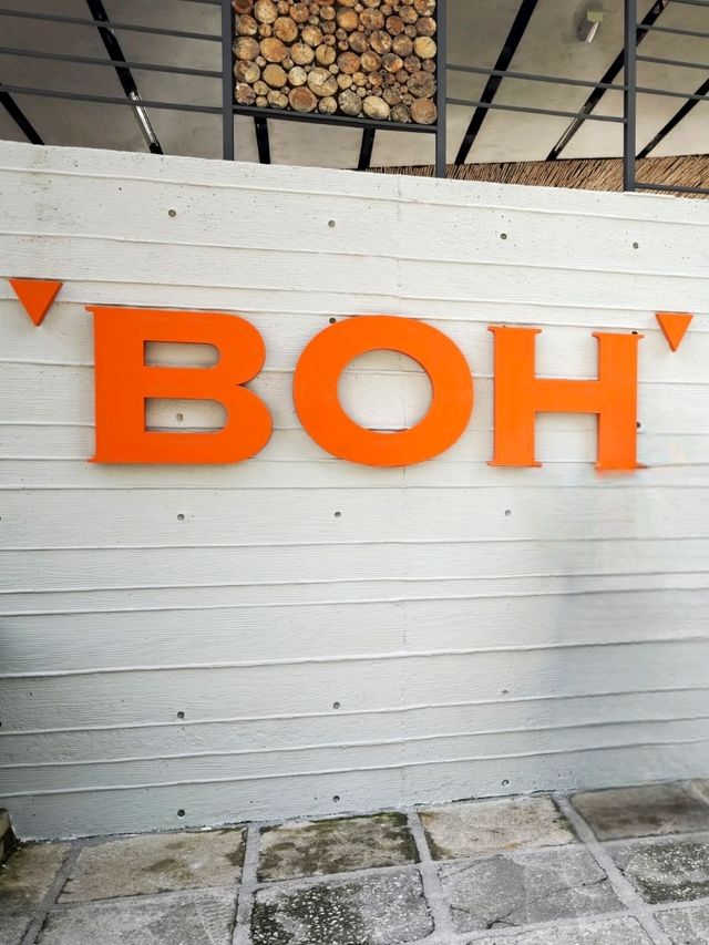 Learning About Tea at Boh Tea Center