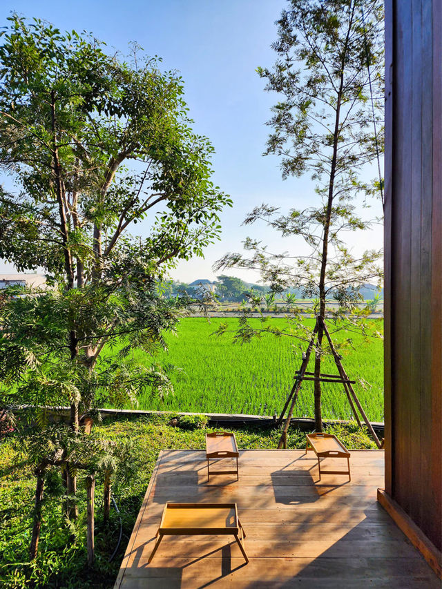 🌻 DOKMAI PRATOOJAEKAN VILLA
