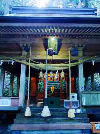 【南阿蘇】異世界に迷い込んだかのような神秘の世界へ！上色見熊野座神社