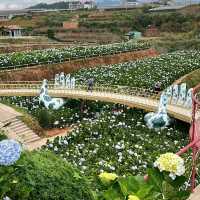 Dalat Delights: Exploring Vietnam's Hidden Gems
