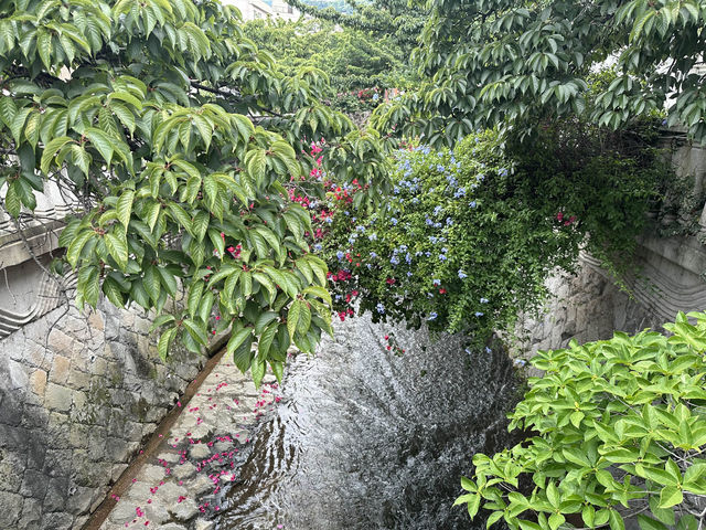 【🇯🇵東京近郊】熱海あたみ桜基準木，櫻花🌸迷必去‼️