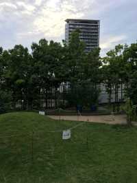 目黑天空庭園：東京市中心的綠意與寧靜