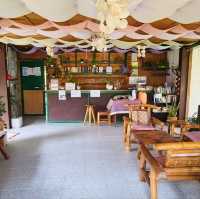 Budget Friendly Stay, Restaurant and Tours