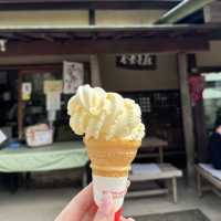 【横浜で緑を🍃】📍三溪園 (Sankeien)