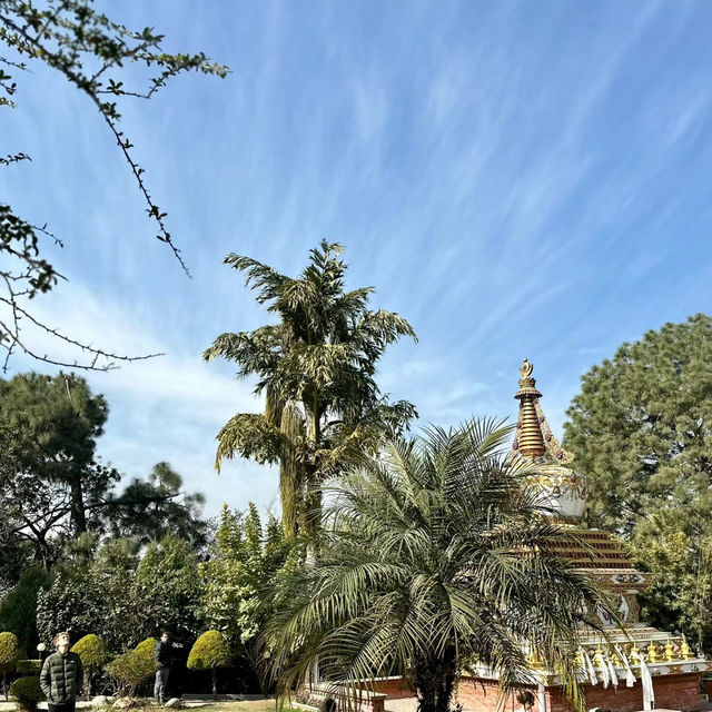 「泰天神殿」精美佛教寺廟