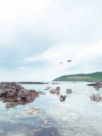 🏖에메랄드빛 해변과 ⛰초록빛 오름의 조화! 함덕해변