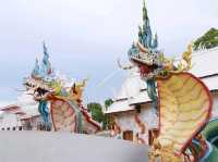 สักการะขอพรลอดพญาเต่า วัดหนองจับเต่า