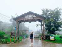 อีต่อง – ปิล็อก ไปเที่ยวกี่ทีก็หลงรัก