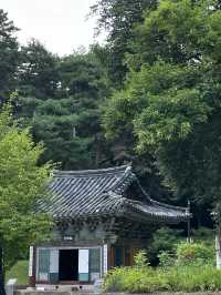 강가에 운치를 즐기시며 🏝️ 유유자적 쉴 수 있는 여주 신륵사 여름여행 💚