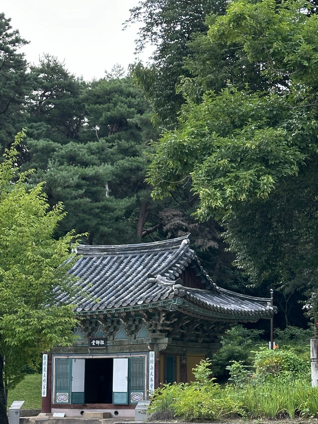 강가에 운치를 즐기시며 🏝️ 유유자적 쉴 수 있는 여주 신륵사 여름여행 💚