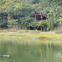 Punggol Park: A Tranquil Oasis in the Heart of Singapore 🇸🇬