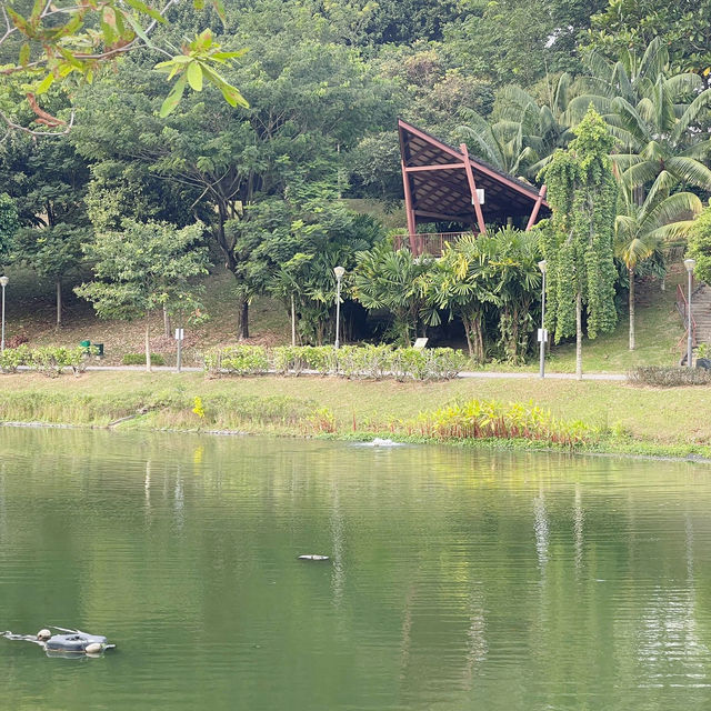 Punggol Park: A Tranquil Oasis in the Heart of Singapore 🇸🇬