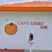 제주 서쪽 여행코스 애월 감귤나라컨셉 초신상 카페🍊