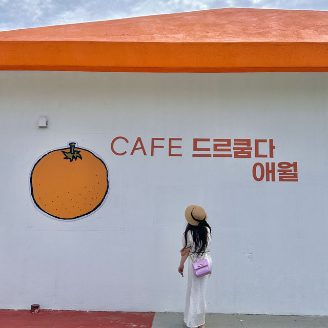 제주 서쪽 여행코스 애월 감귤나라컨셉 초신상 카페🍊