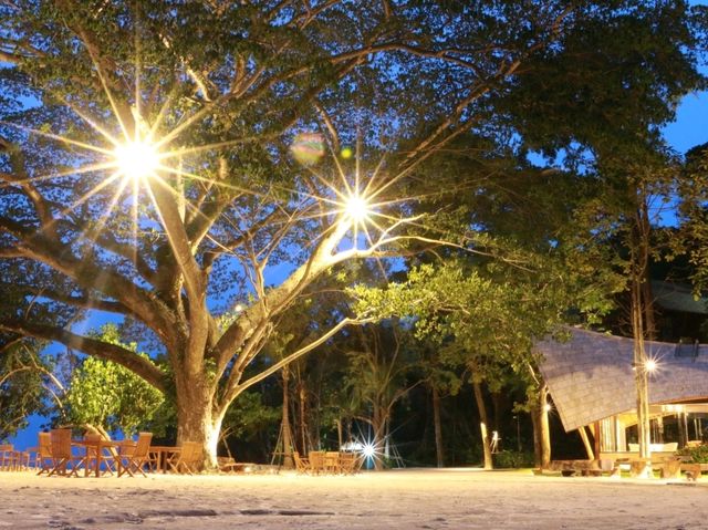 ดินเนอร์สุดหรู ณ Bambu beach club 