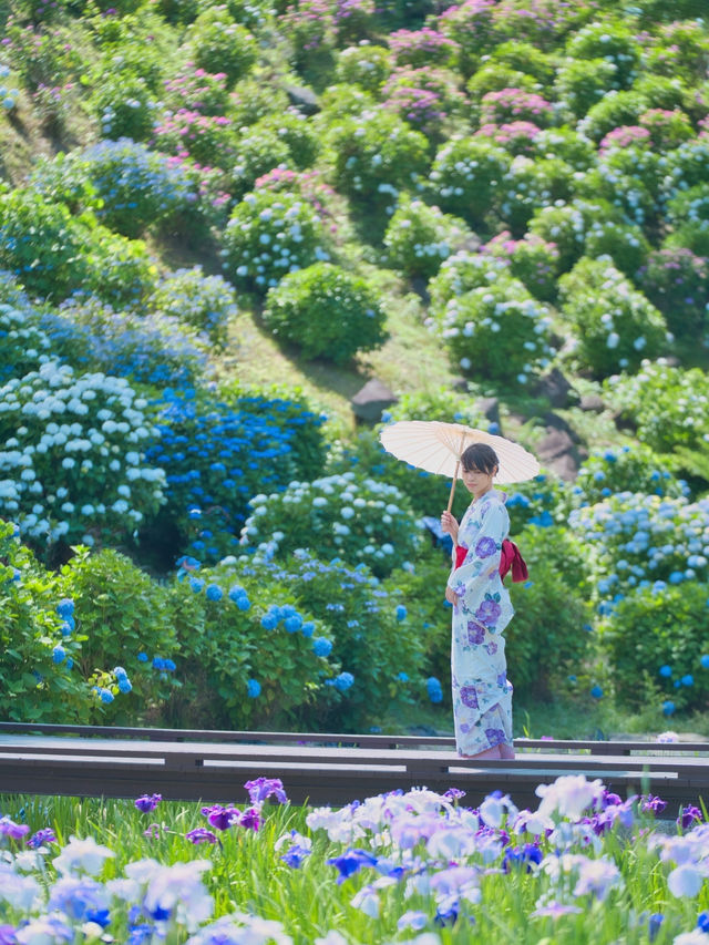 〜神奈川県〜どこ見ても絶景!小田原城城址公園 〜神奈川県〜どこ見ても絶景!小田原城城址公園
