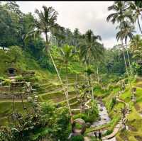 Discovering Bali: A Journey of a Lifetime