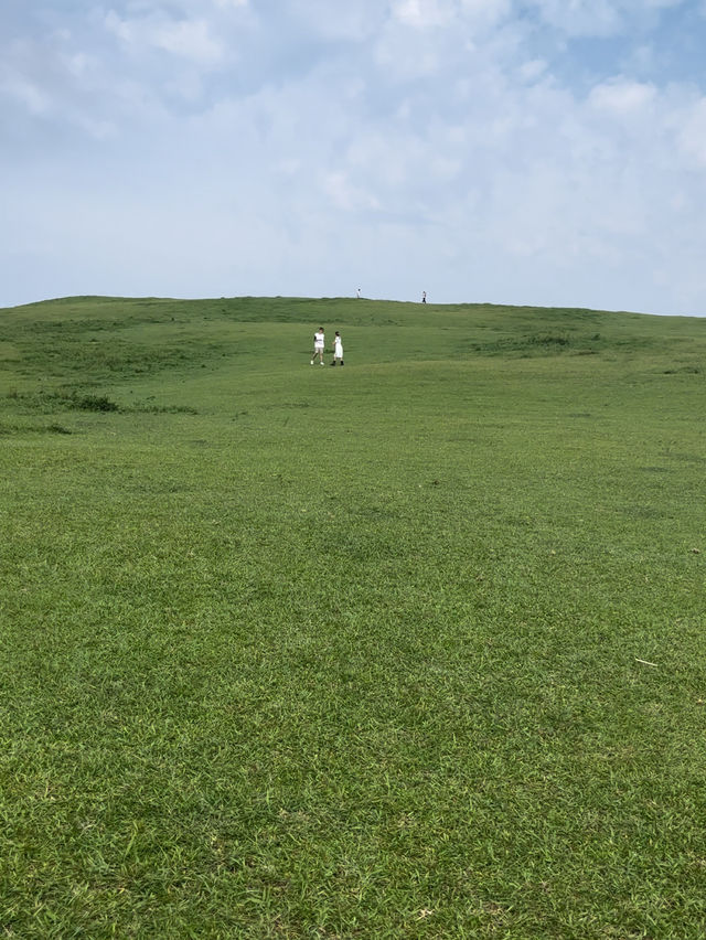 【宮崎】野生の馬が住まう岬