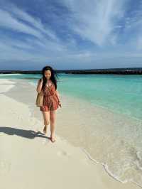 Get lost in the Indian Ocean Sea 🐬
