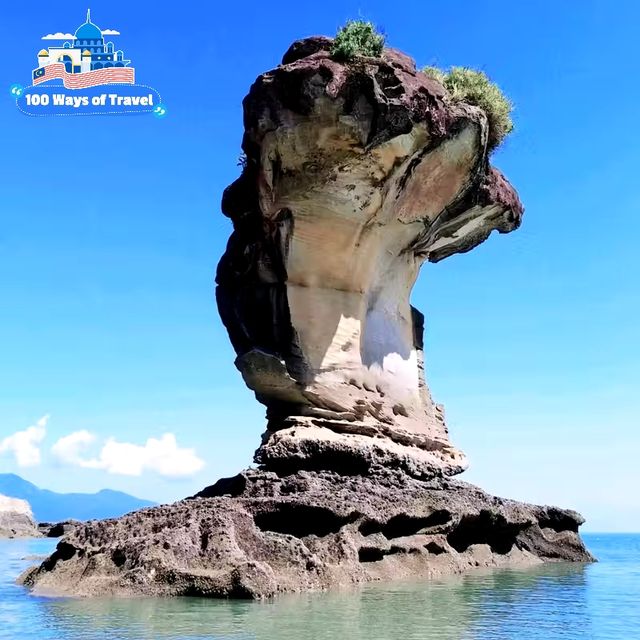 Unveiling Bako National Park: A Symphony of Nature’s Masterpieces
