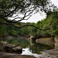 週末好去處 - 河背水塘