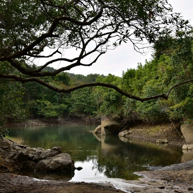 週末好去處 - 河背水塘