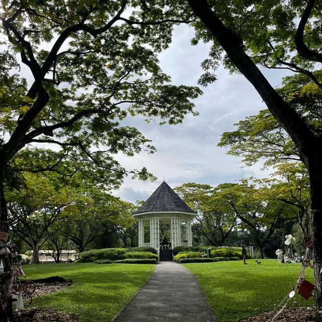 Singapore - The Lion City