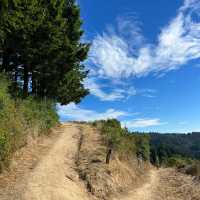 「Culicagh Mountain Park：壯麗山谷，難忘旅程！」
