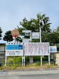 【大阪府:泉南】昔ながらの海の家も楽しめるときめきビーチ