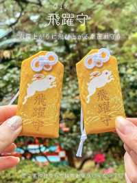 【京都】可愛いがとまらない「うさぎ神社」