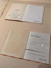 💕For Art Lovers-Picasso Exhibition💕