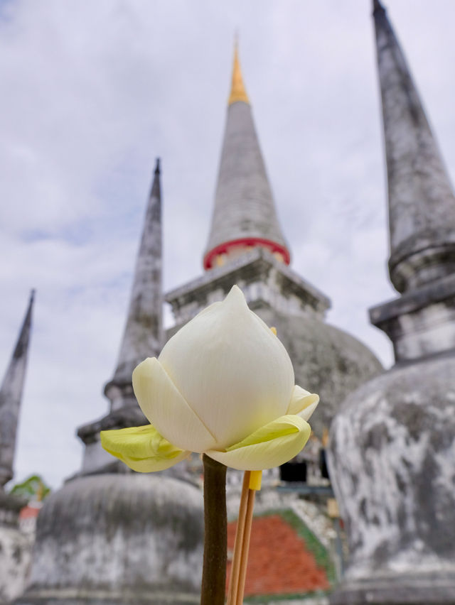 พระธาตุไร้เงาเมืองนคร | วัดพระมหาธาตุวรมหาวิหาร 