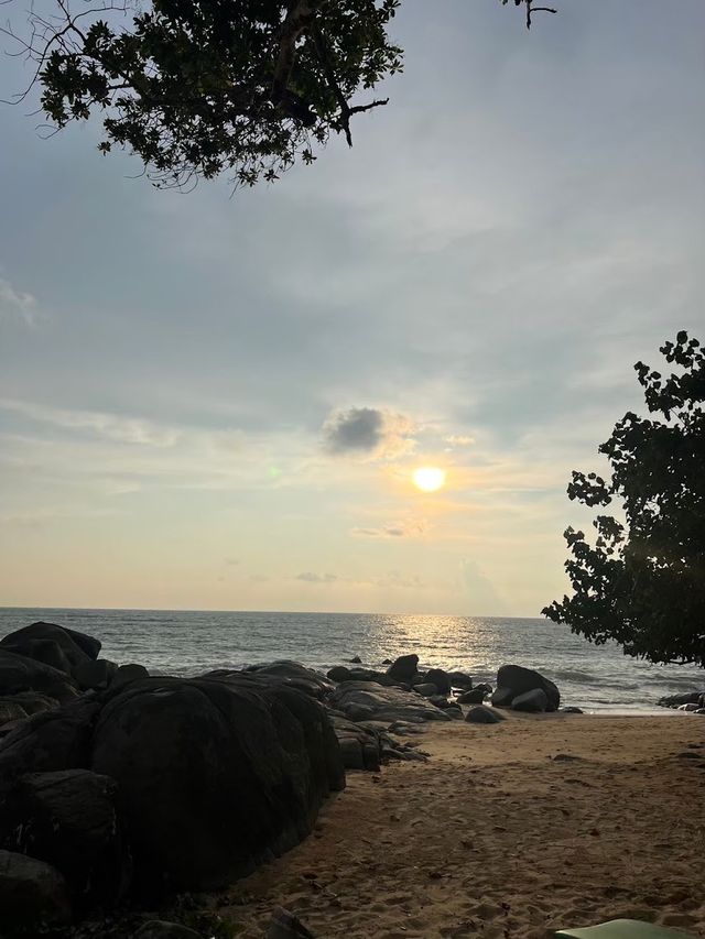 📍Paradise Beach Cafe" @ Khaolak
