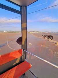 🌅아름다운 서해의 노을을 즐길 수 있는 곳