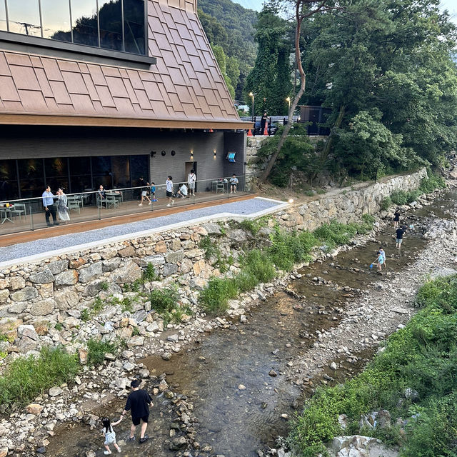 서울 근교 계곡 맛집 용인 고기리유원지💦