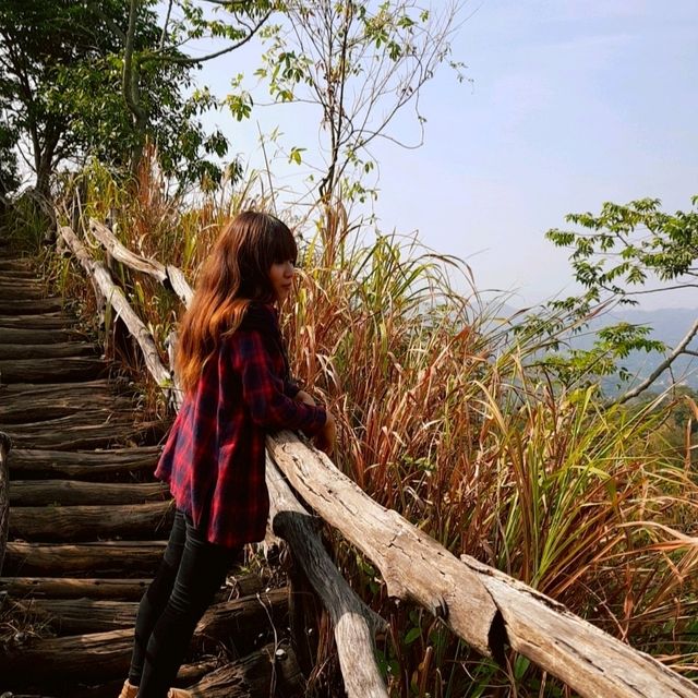 【臺中】熱門登山步道，適合喜歡自然景觀和健行活動的人
