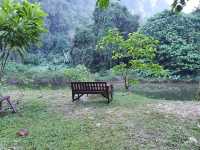 📍Our Jungle House จ.สุราฎร์ธานี