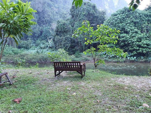 📍Our Jungle House จ.สุราฎร์ธานี