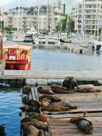 V&A Waterfront , Cape Town South Africa 
