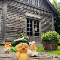 Lifehouse Cafe & Kitchen 