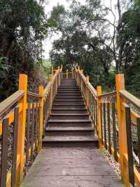 台中親民 登山健行步道
