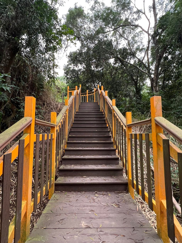 台中親民 登山健行步道