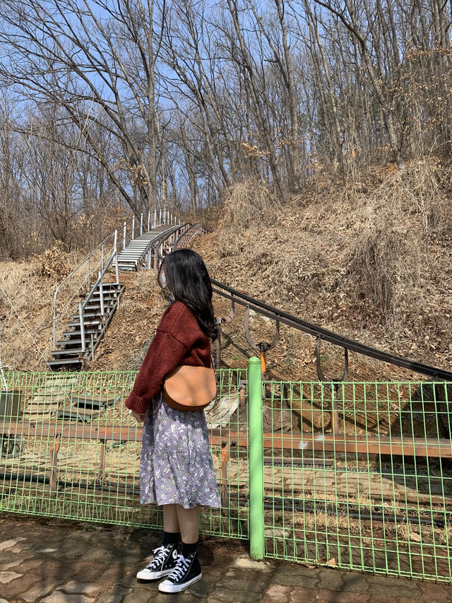 모노레일바이크 탑승하고 올라가는 비봉산 정상