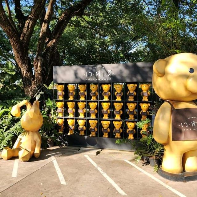 เวฬาดี เชียงใหม่ 