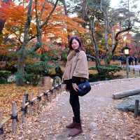 🍁 金澤兼六園:打卡紅葉仙境,感受江戶風情