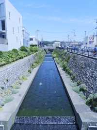 鎌倉人氣景點：鎌倉高校前