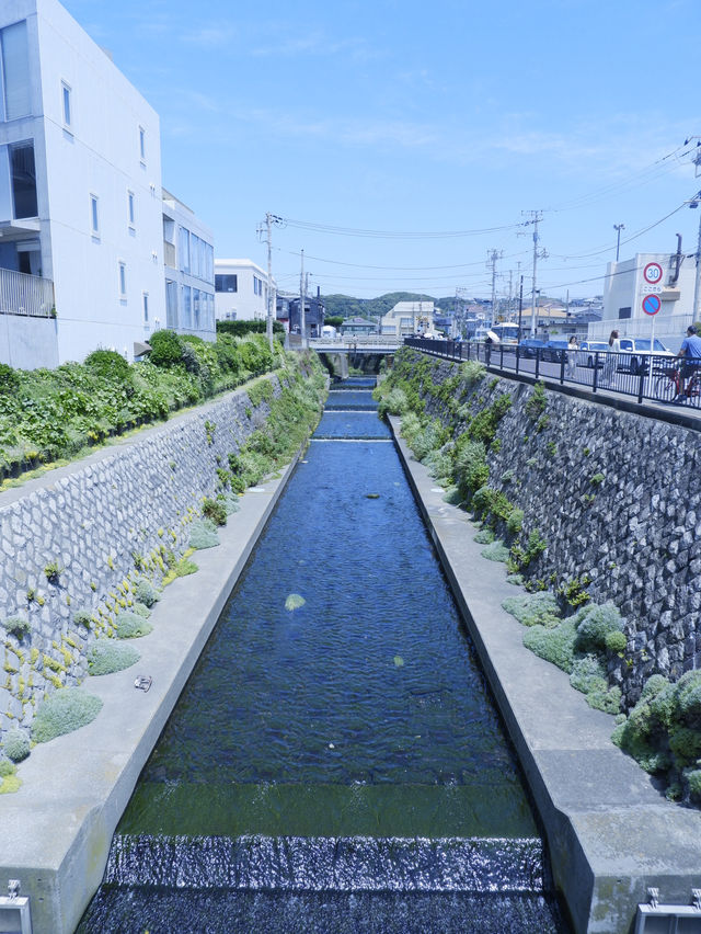 鎌倉人氣景點：鎌倉高校前